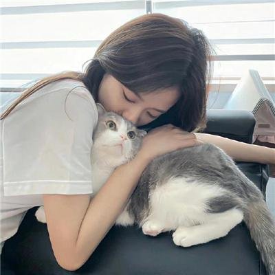 飞贼黑猫